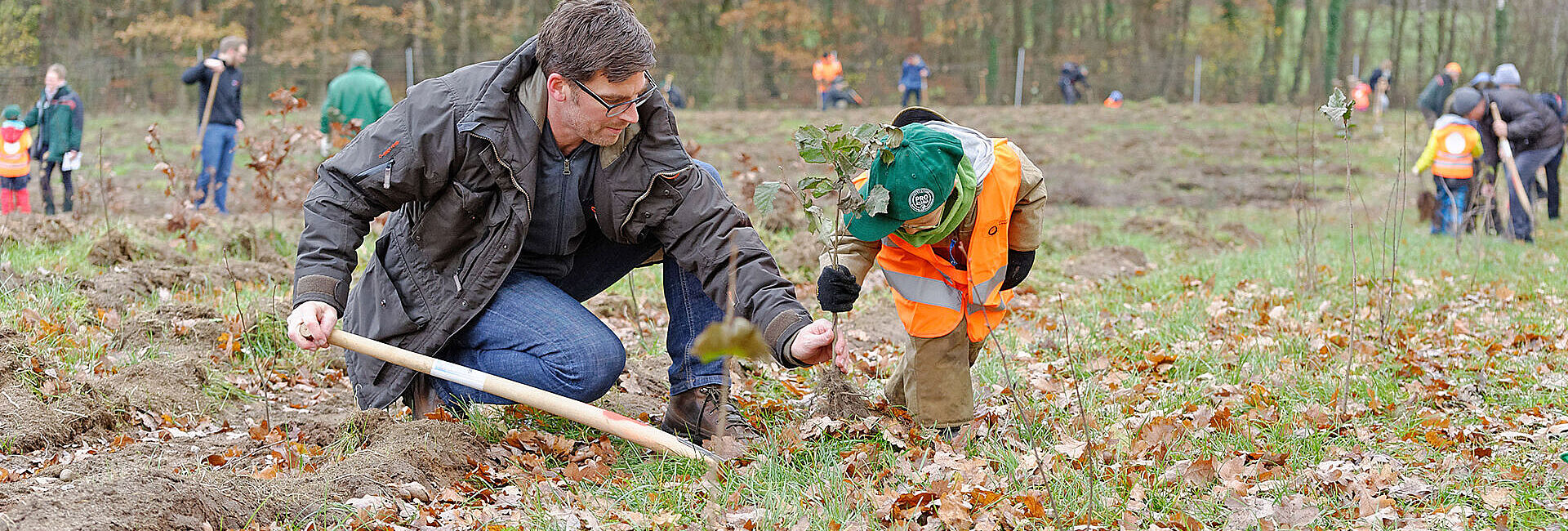 Initiative Pro Klima: 10.000 neue Bäume für Schleswig-Holstein